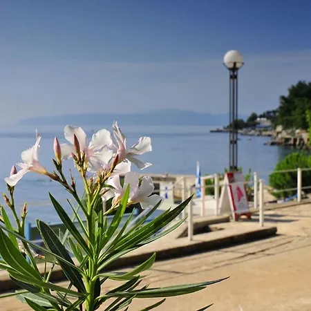 Apartament In With Sea View, Terrace, Air Conditioning, Wifi