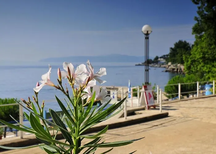 Daire In With Sea View, Terrace, Air Conditioning, Wifi
